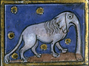 "Anabula - bestia etiopska" (czyli prawdopodobnie słoń).